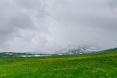 Similar image 764250