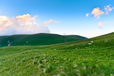 Similar image 764254