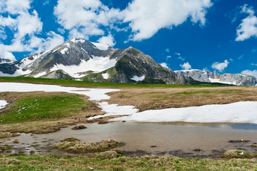 Similar image 764256