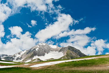 Similar image 764257