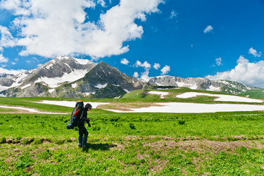 Similar image 764258