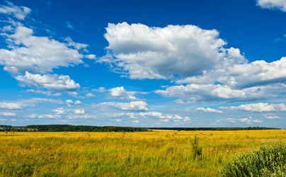 Similar image 764262