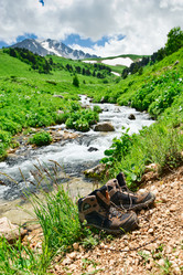 Similar image 764271