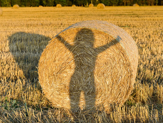 Similar image 764277