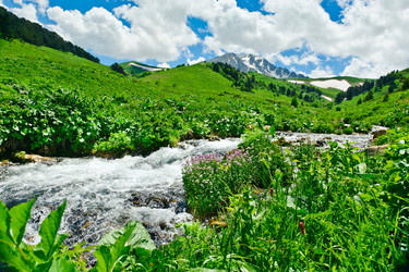 Similar image 764283