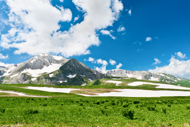 Similar image 764284