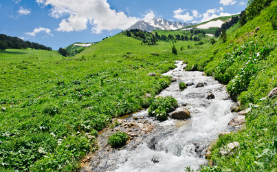 Similar image 764298