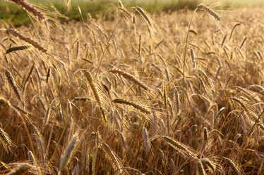 Similar image 764348