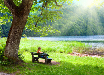 Similar image 764350