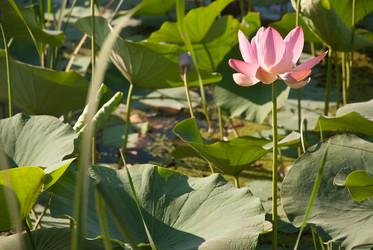 Similar image 764422