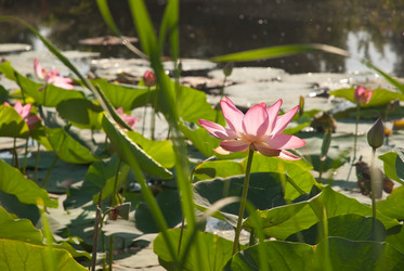 Similar image 764423