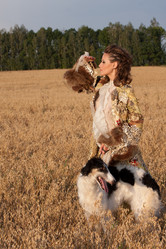 Similar image 764435