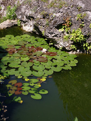 Similar image 764571