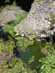 Similar image 764572