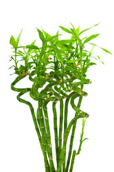 Similar image 764615