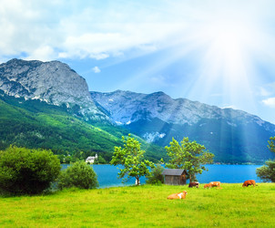 Similar image 764618