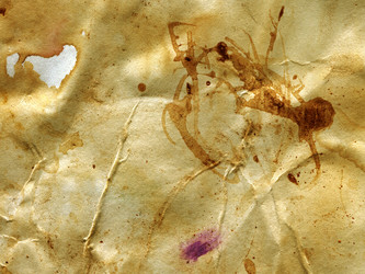 Similar image 764624