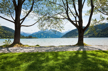 Similar image 764640