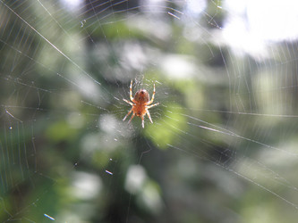 Similar image 764679