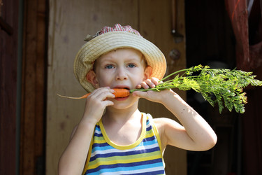 Similar image 764846