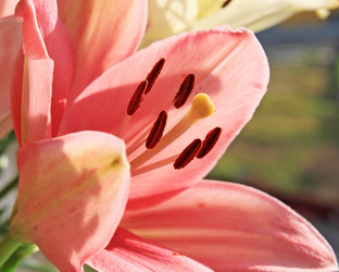 Similar image 764861