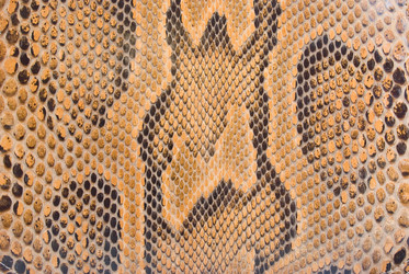 Similar image 764910