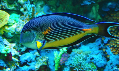 Similar image 764984