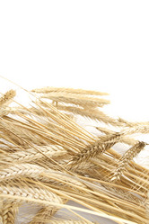 Similar image 765126