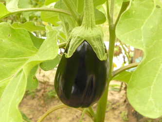 Similar image 765148