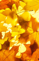 Similar image 765154