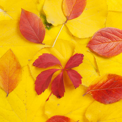 Similar image 765155