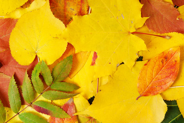 Similar image 765156