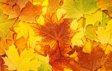 Similar image 765157