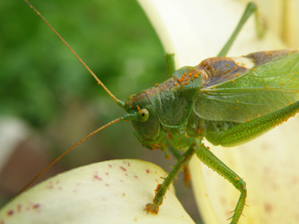 Similar image 765166