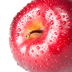 Similar image 765186