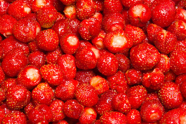 Similar image 765194