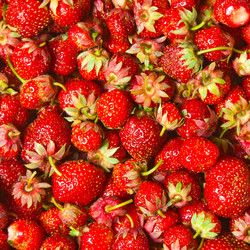 Similar image 765195