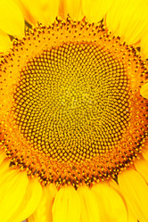 Similar image 765206