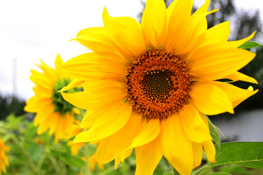 Similar image 765210