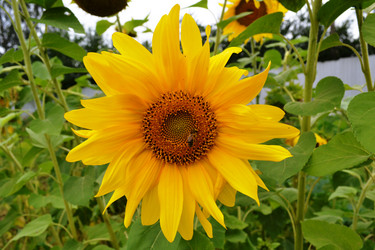 Similar image 765211