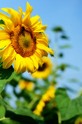 Similar image 765214