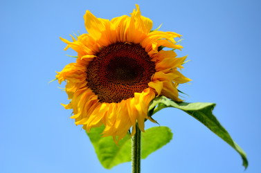 Similar image 765216