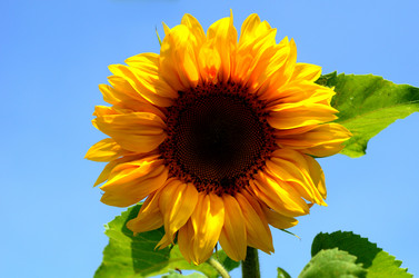 Similar image 765221