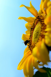 Similar image 765226