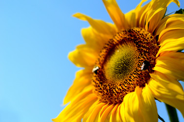 Similar image 765228