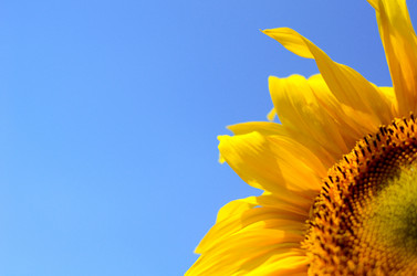 Similar image 765235