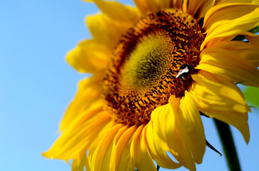 Similar image 765237