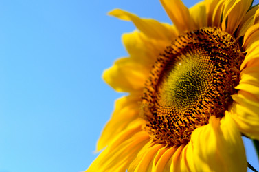 Similar image 765239