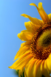 Similar image 765242