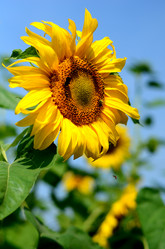 Similar image 765245